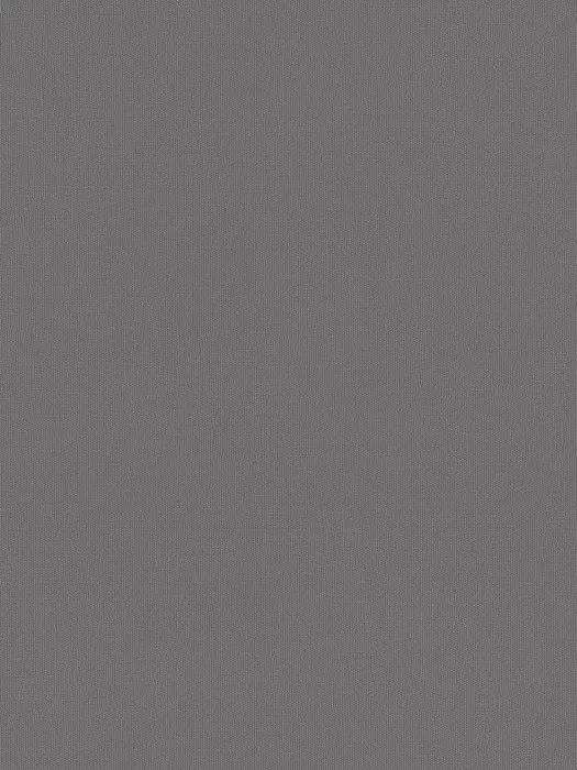A101119