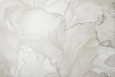 VS285912