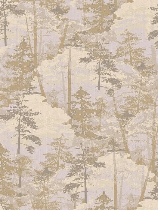 AM2 002