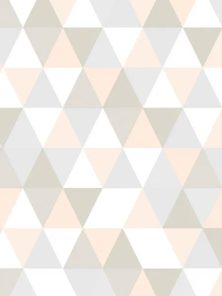 84243-2
