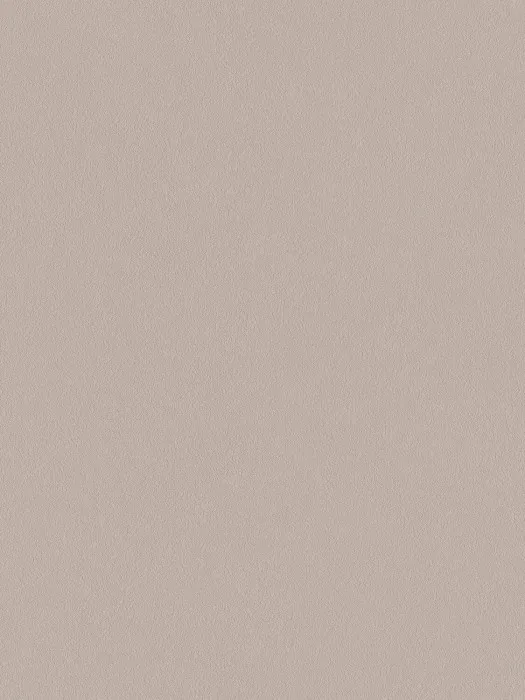 A100306