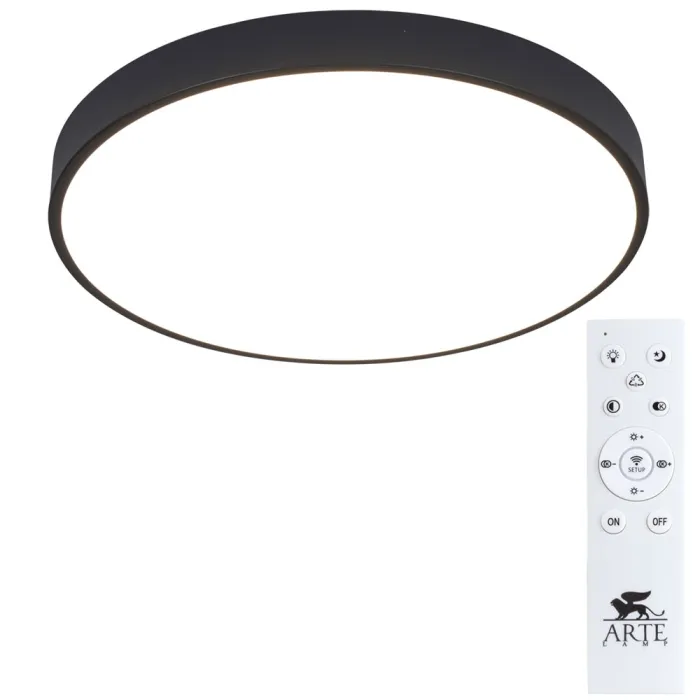Потолочный светильник Arte Lamp ARENA A2672PL-1BK | Дом Декора