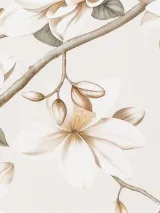PL72535-12_5