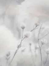 PL72543-42_1