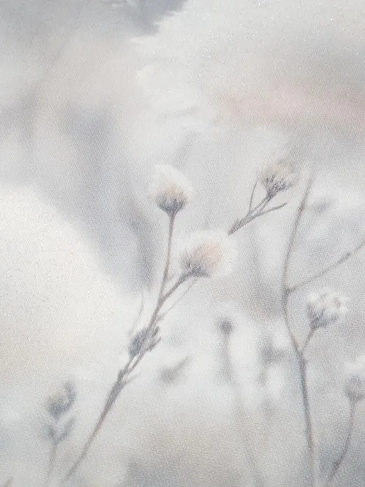PL72543-42_1