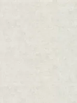 31961