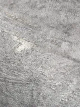 PL72156-44_4