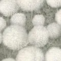Обои Palitra Dandelion Chiki SP72380-74