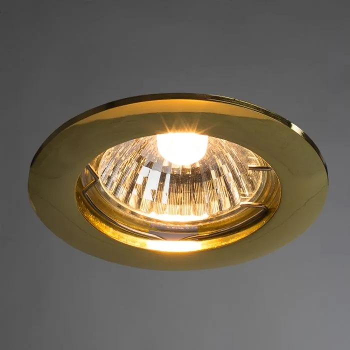 Точечный встраиваемый светильник Arte Lamp BASIC A2103PL-1GO | Дом Декора
