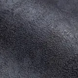 PL72210-48_2