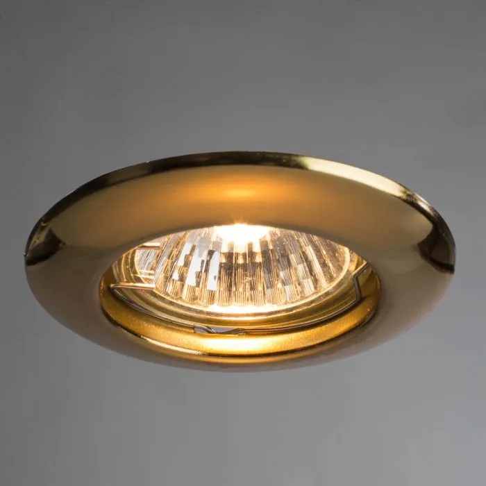 Точечный встраиваемый светильник Arte Lamp PRAKTISCH A1203PL-1GO | Дом Декора