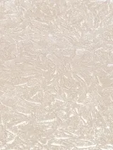 PL72785-23_5