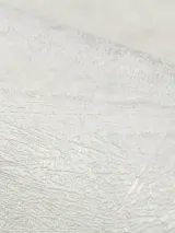 PL72156-12_4