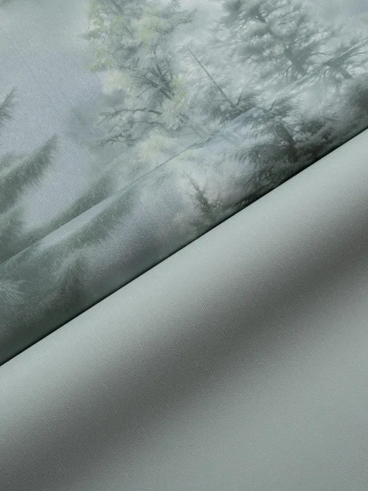 HC72551-71_10