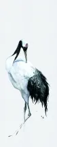 34594_rapport