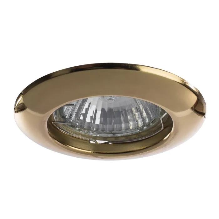 Точечный встраиваемый светильник Arte Lamp PRAKTISCH A1203PL-1GO | Дом Декора