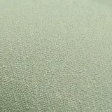 SP72029-77_3