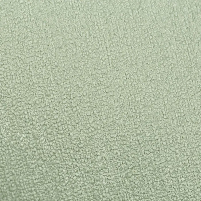 SP72029-77_4