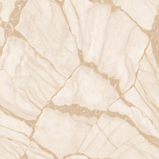 Z81040